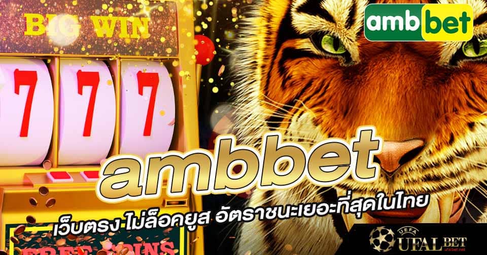 เว็บตรง ambbet